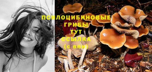 мяу мяу кристалл Долгопрудный