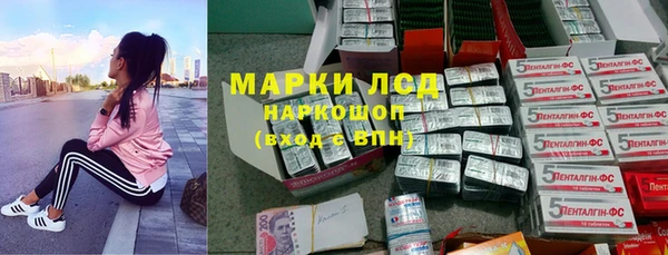 винт Балахна