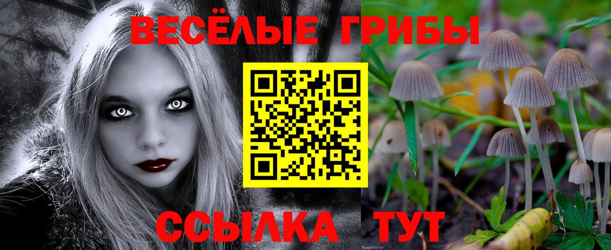 Галлюциногенные грибы Magic Shrooms  Вход с VPN  что такое   Бирск  Галлюциногенные грибы Psilocybe 